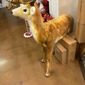 Meet your Posher, Jose